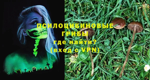 прущие крисы Балахна